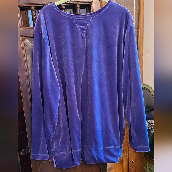 Velour Style Sweatshirt - Picture 1 of 9